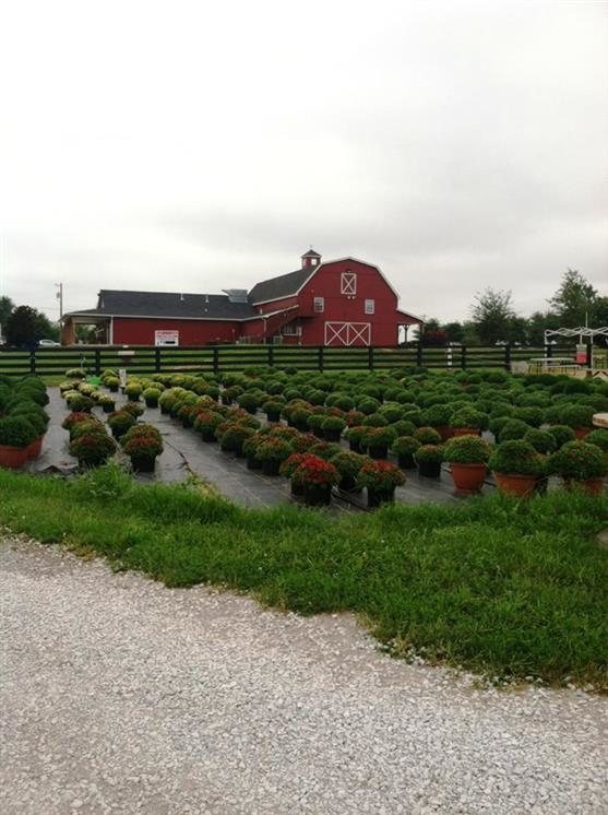 Dairy Farm Tours In Kentucky Dairy Farm Tours In Kentucky